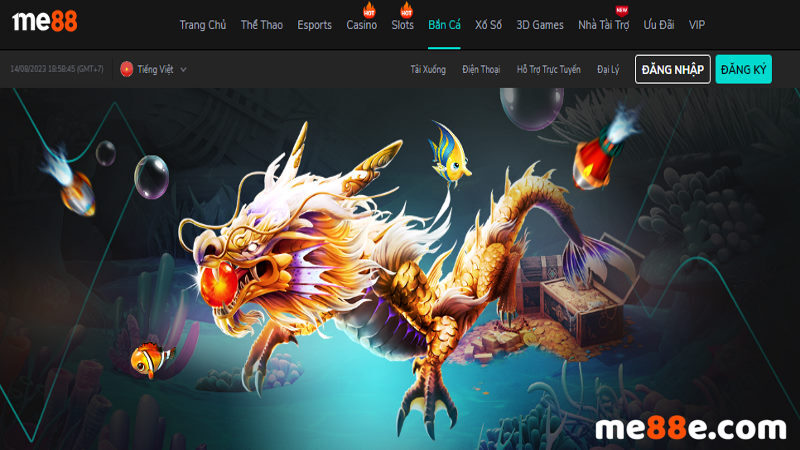 1Xbet và nền tảng của tôi - 1Xbet