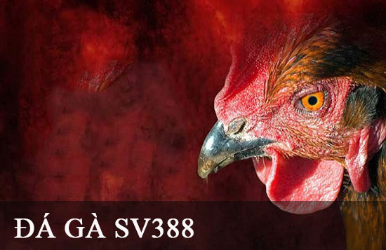 Trang web 88Vv là gì? - 88Vv