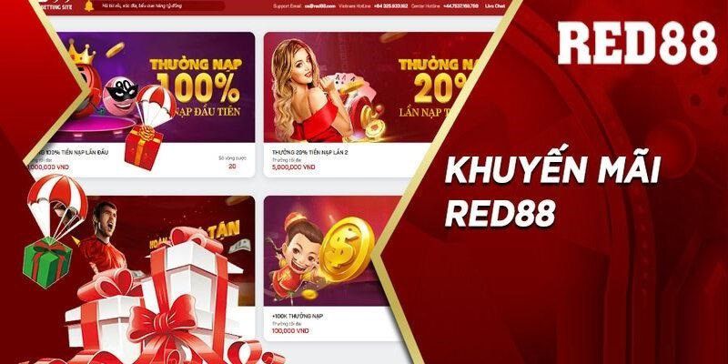Vậy điều gì thực sự tạo nên sức hấp dẫn của hạng Dd7? - Dd7