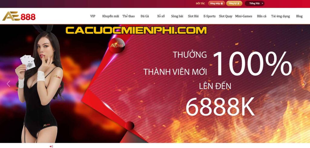 Các hoạt động quảng bá khác của Sbty - Sbty