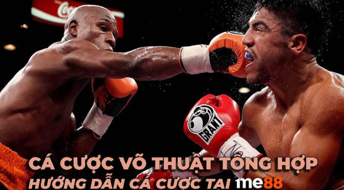 Tổng quan về chương trình hoàn phí bảo trì 32Win - 32Win