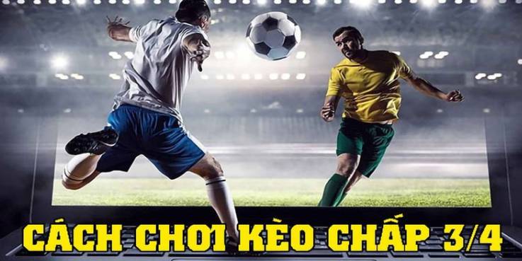 Những tin đồn về việc 33King là một trò lừa đảo có đúng hay sai? - 33King