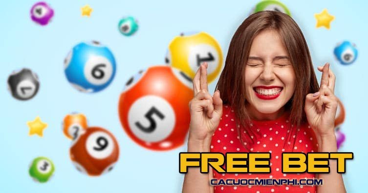 6Sports đã chọn ra những trang web 6Sports tốt nhất năm 2026 - 6Sports
