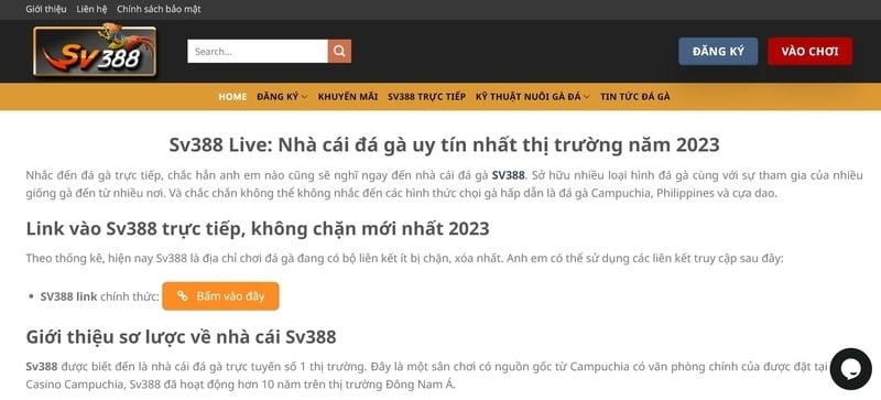 Điều khoản và điều kiện của Giải thưởng 58M – Hướng dẫn hoàn toàn minh bạch - 58M