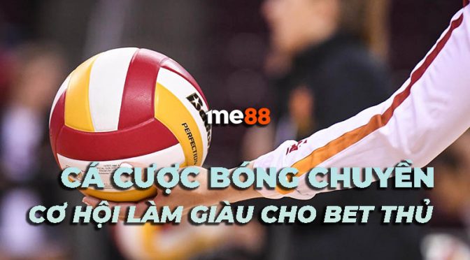 95Vn tổ chức nhiều sự kiện quảng bá chọi gà vô cùng hấp dẫn - 95Vn