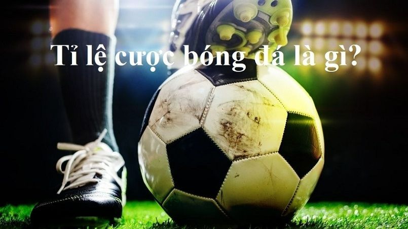 Xổ số trực tuyến Typhu88 có uy tín tốt - Typhu88