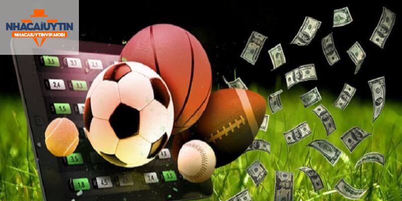 126Bet giành chiến thắng với một chiến lược khả thi để tối đa hóa lợi nhuận vào năm 2026 - 126Bet