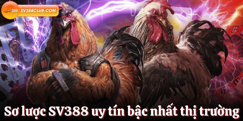 Chính sách ưu đãi khách hàng tối ưu của Ae888 - Ae888