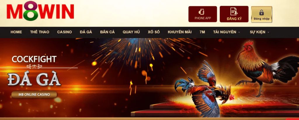 Tôi nên tham gia giải đấu cấp độ Bet98 ở mức nào? - Bet98