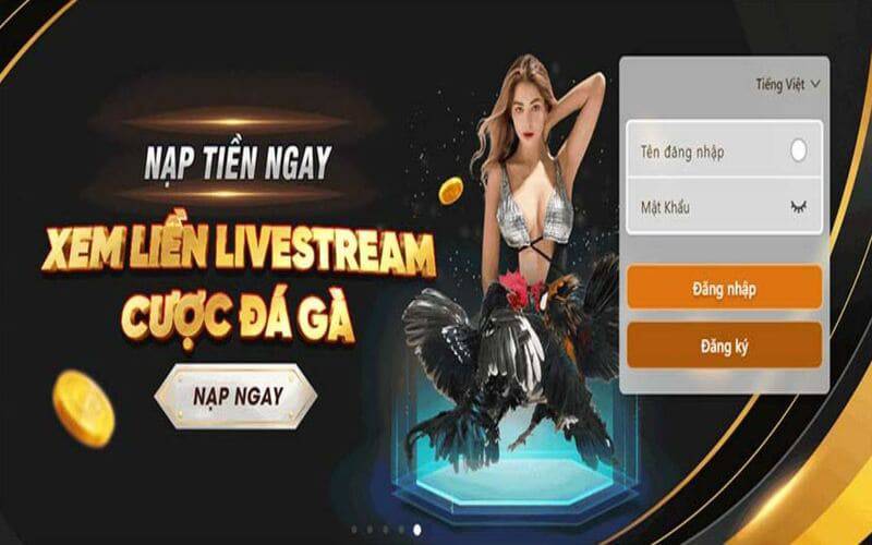 Ưu điểm và nhược điểm của hạng VIP Rikvip - Rikvip
