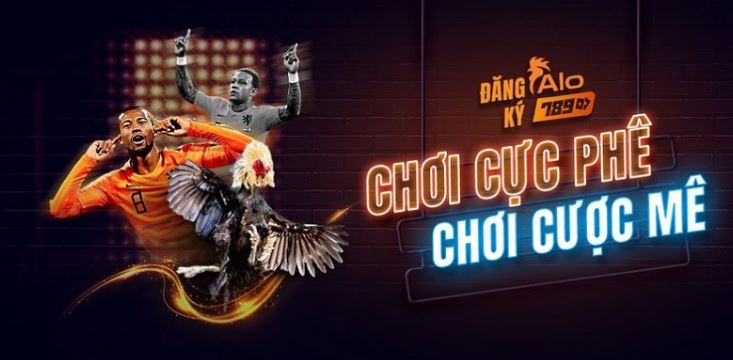 Thông tin liên quan đến các chương trình khuyến mãi của 11Bet Palace - 11Bet