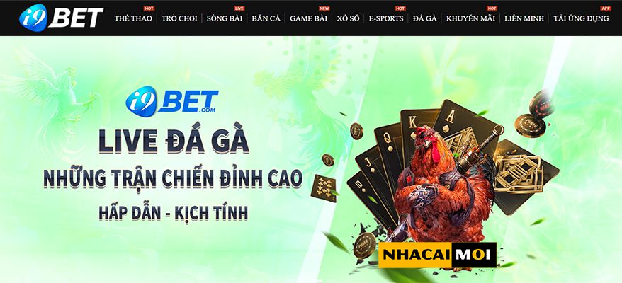 Máy đánh bạc Natra88, máy đánh bạc di động được xếp hạng số một - Natra88