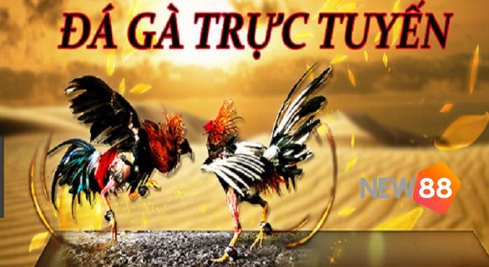 Tải ứng dụng Helo88 về thiết bị iOS của bạn - Helo88